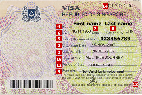 singapore 5 year tourist visa